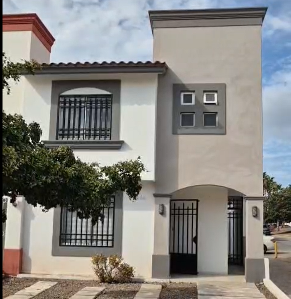 video image